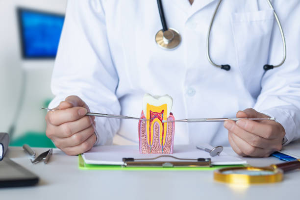 Best Emergency Dental Care for Abscessed Tooth in Haymarket, VA
